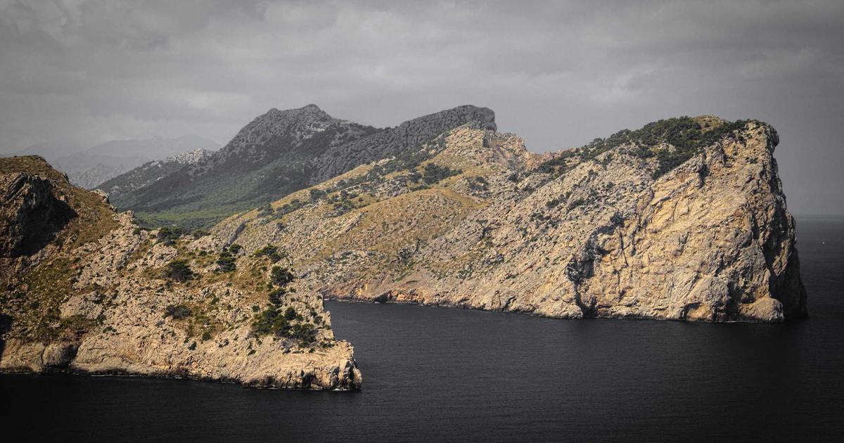 Quanto custa um guincho? Guia completo de preços